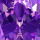 Close-up of a textured amethyst art deco jewelry shop
