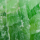 Close-up of a textured jade maw sit sit art deco jewelry shop
